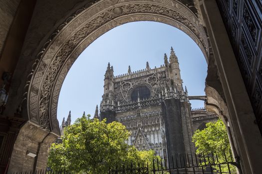 Patio de los naranjos, Cathedral of Saint Mary of the See (Seville Cathedral) in Seville, Andalusia, Spain