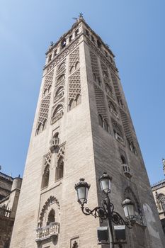 Giralda Tower, Seville Cathedral, Sapin