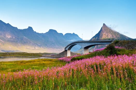 Norway sunny summer day. Bridge over the fjord on Lofoten islands