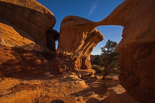 The Devil's Garden, Near Escalante, Utah(IMG 2243)