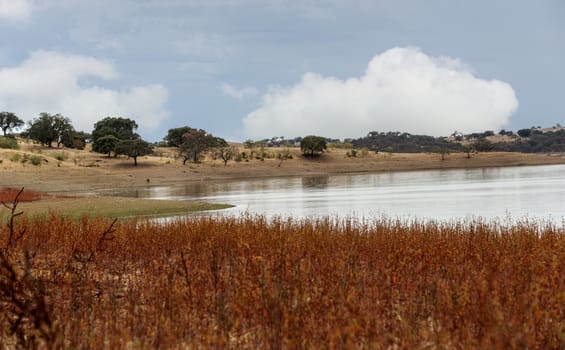 water in lake pond in alentejo mPortugal near Moura