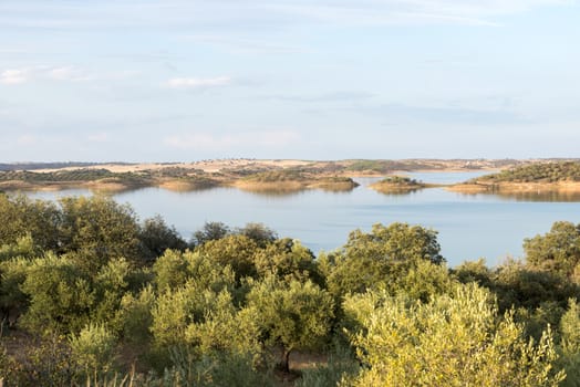 green trees with lake and blue sky background in alentejo Portugal