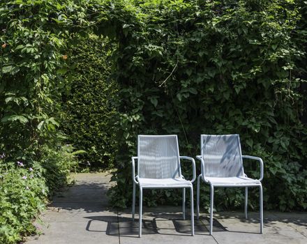 two blue furniture plastic chairs in garden witch background of bow made from hedera creeper
