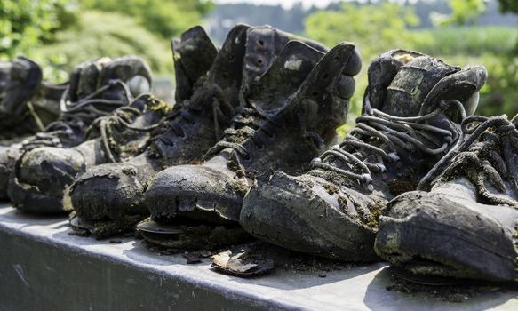row of old leather worn out shoes in garden