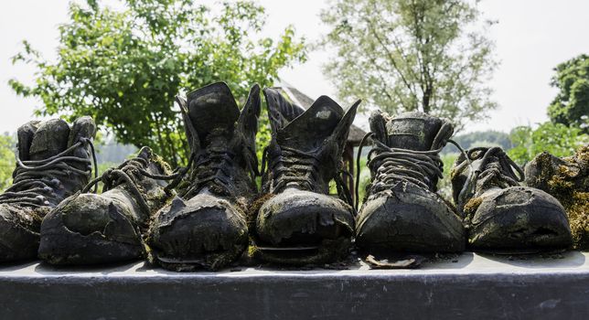 row of old leather worn out shoes in garden