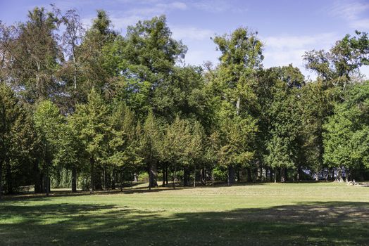 park with start of autumn with trees getting from green to brown and gold 