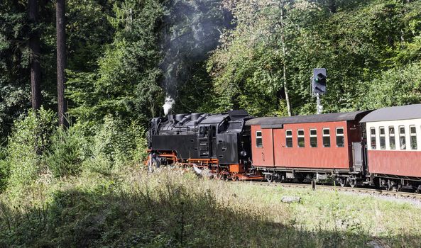 Narrow gauge steam engine from Brocken to Werningerode. The trains to the Brocken mountain are popular with tourists and operate around the year.