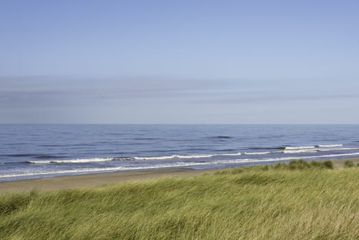 the wind in the green grass in the dunes near the beach and the nortsea in Holland