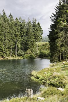 nice walking area in the forest near brocken mountain in harz germany with trees and water ponds