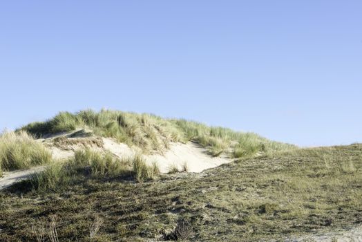 sand dunes at the dutch coast