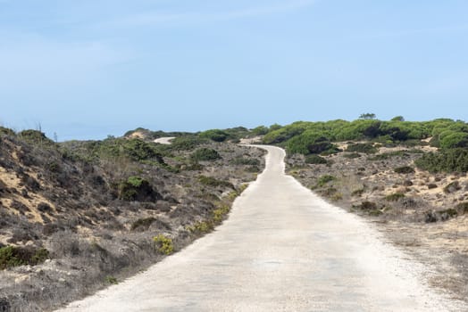 path in dry summer with blue sky portugal alentejo area
