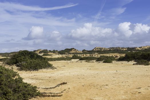 landscape in portugal alentejo area with dry sand and green plants with summer blue sky 