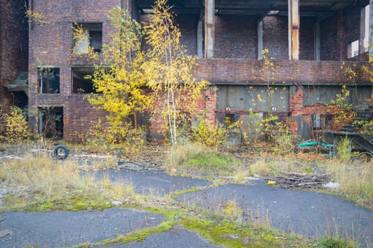ruins of a very heavily polluted industrial factory, industrial series