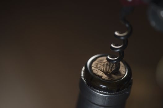Opening a wine bottle with corkscrew, white background, Winery