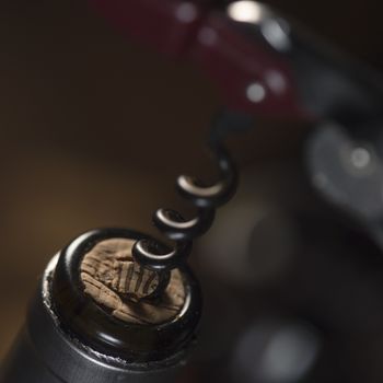 Opening a wine bottle with corkscrew, white background, Winery