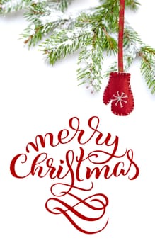 Branch of Christmas tree on white background with text Merry Christmas. Lettering calligraphy.