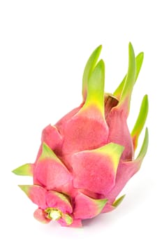 Fresh pink pitaya or dragon fruit  on white background