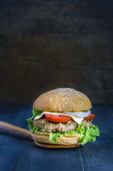 Closeup of home made burgers on wooden background