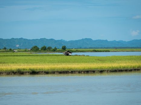 The Kaladan River and rice fields at the Rakhine State in Myanmar.