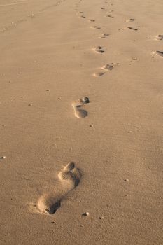 Yellow sand in the morning sunlight with fresh footprints.