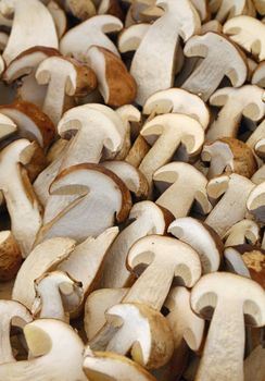 Fresh autumn season halved cut porcini mushrooms (ceps, Boletus edulis) on retail farmers market, close up, high angle view