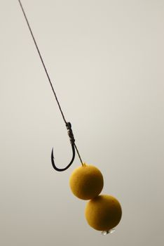 Fishing rig pop up in bait outdoor