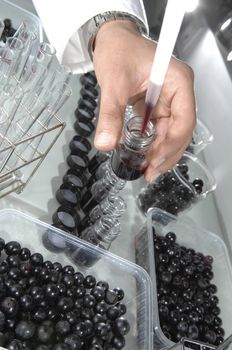 Wine quality control testing in modern laboratory, France