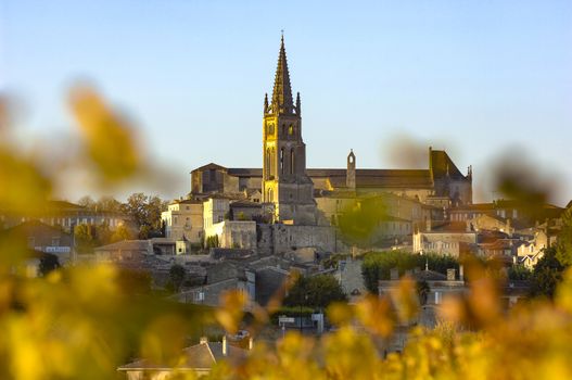 Saint Emilion, Vineyard Sunrise, Bordeaux Wine, France, Europe