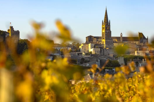 Saint Emilion, Vineyard Sunrise, Bordeaux Wine, France, Europe