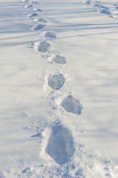 Human tracks on the fresh white snow