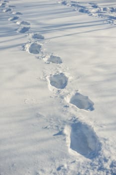 Human tracks on the fresh white snow