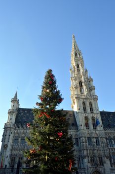 Christmas tree in front of the city hall of Brussels in Belgium