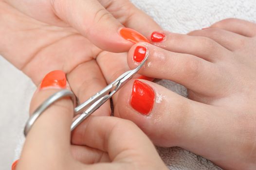 beauty treatment, body care series. pedicure applying - toe nails cleaning, cuticle cutting