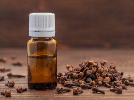 Spice clove essential oil in dark glass bottle anddry cloves on dark wooden background with copy space