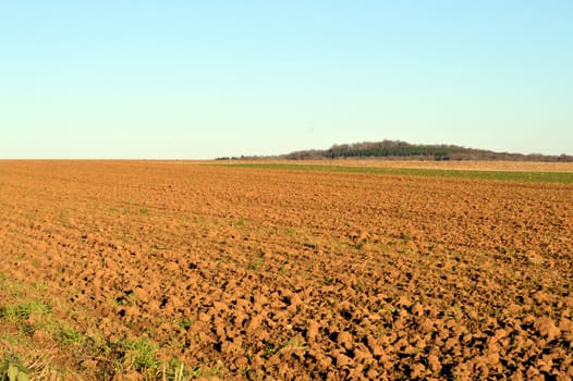 Plowed field fresh with a blue sky