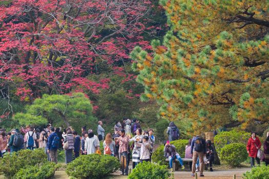 Colorful autumn in rikugien Japan; 20th November 2016