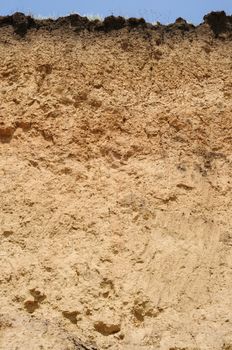 Deep cut of soil different layers, grass and blue sky on top