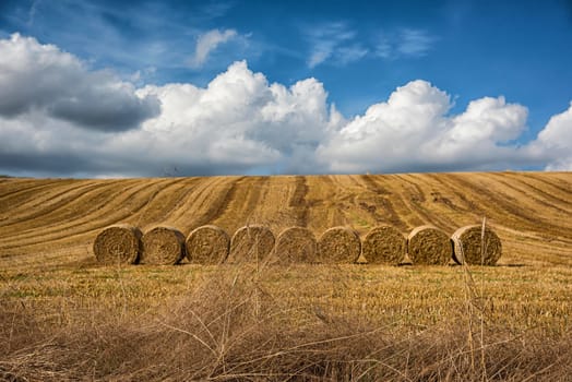 rolls of hay in field, Germany