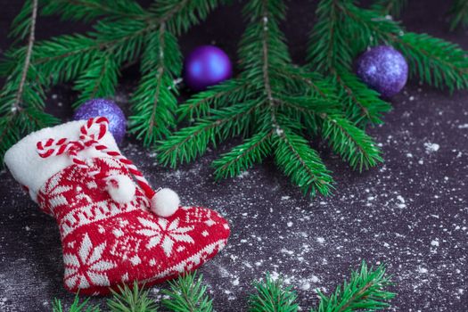 Christmas and New Year winter holiday snowbound composition of red stocking on black space background with green fir tree branches and purple balls ornament