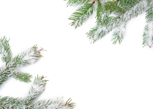 snowy fir branches. Christmas frame and place for text.