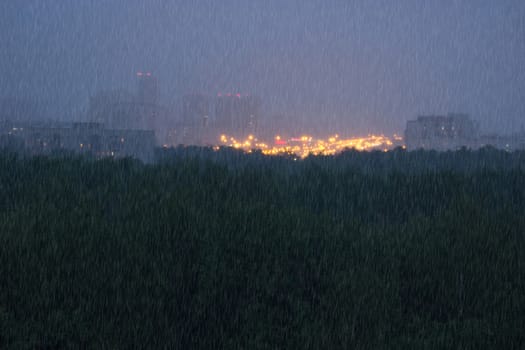 green forest distant city, night yellow lights