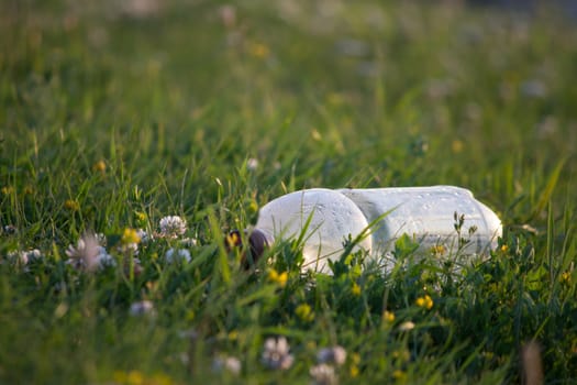 ecology concept, plastic bottle  on the green grass