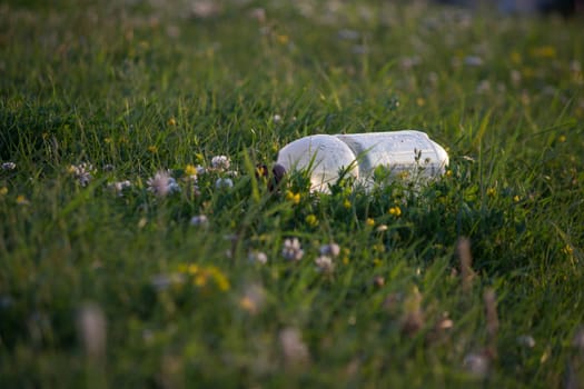 ecology concept, plastic bottle  on the green grass