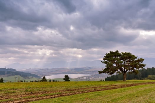 Slovakia autumn cloudy morning panorama. Rural fall mountain scene. Lake in valley. Lone tree