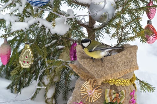 Great tit, sitting on a sack of seeds. Under the decorated Christmas tree.