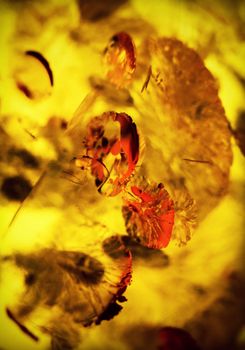 abstract background detail the cracks in amber stone