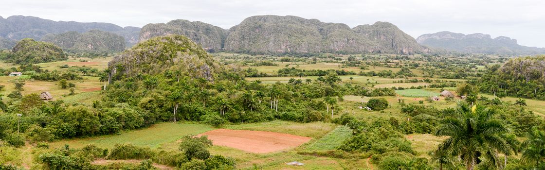 Panoramic view over landscape with mogotes in Vinales Valley, Cuba