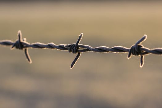 Frost on Barbed Wire Fence on a winters morning
