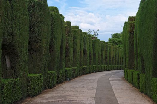 Curved pathway in the famous gardens of Alhambra 
