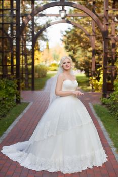 Bride in wedding dress with long train standing in the alley in the park